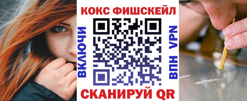 Кокаин FishScale  Купить где  Гатчина 