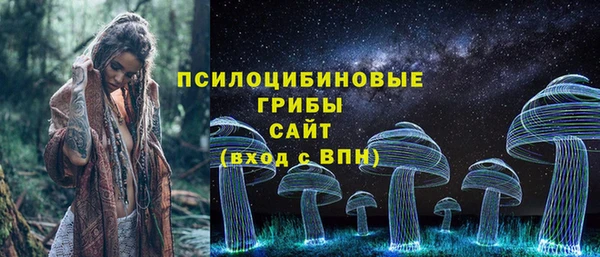 2c-b Богородск