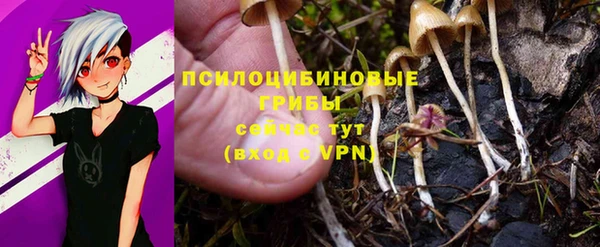хмурый Богданович