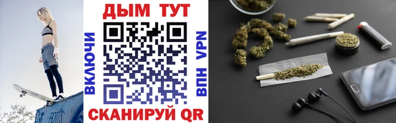 Купить закладки  Гатчина  Шишки марихуана сатива 